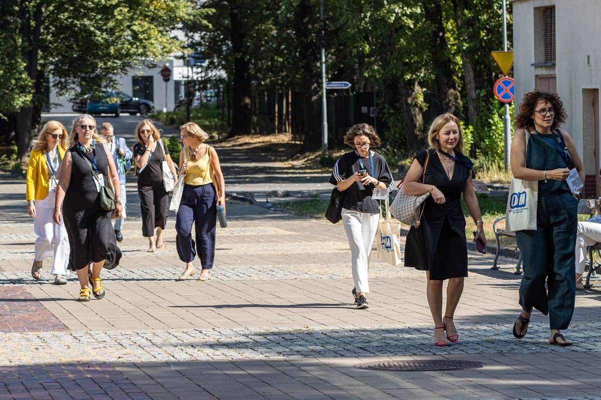 Tożsamość i Niepewność. Psychiatria i psychoterapia nastolatków i młodych dorosłych. Procesy przejścia w rodzinie, terapii i leczeniu